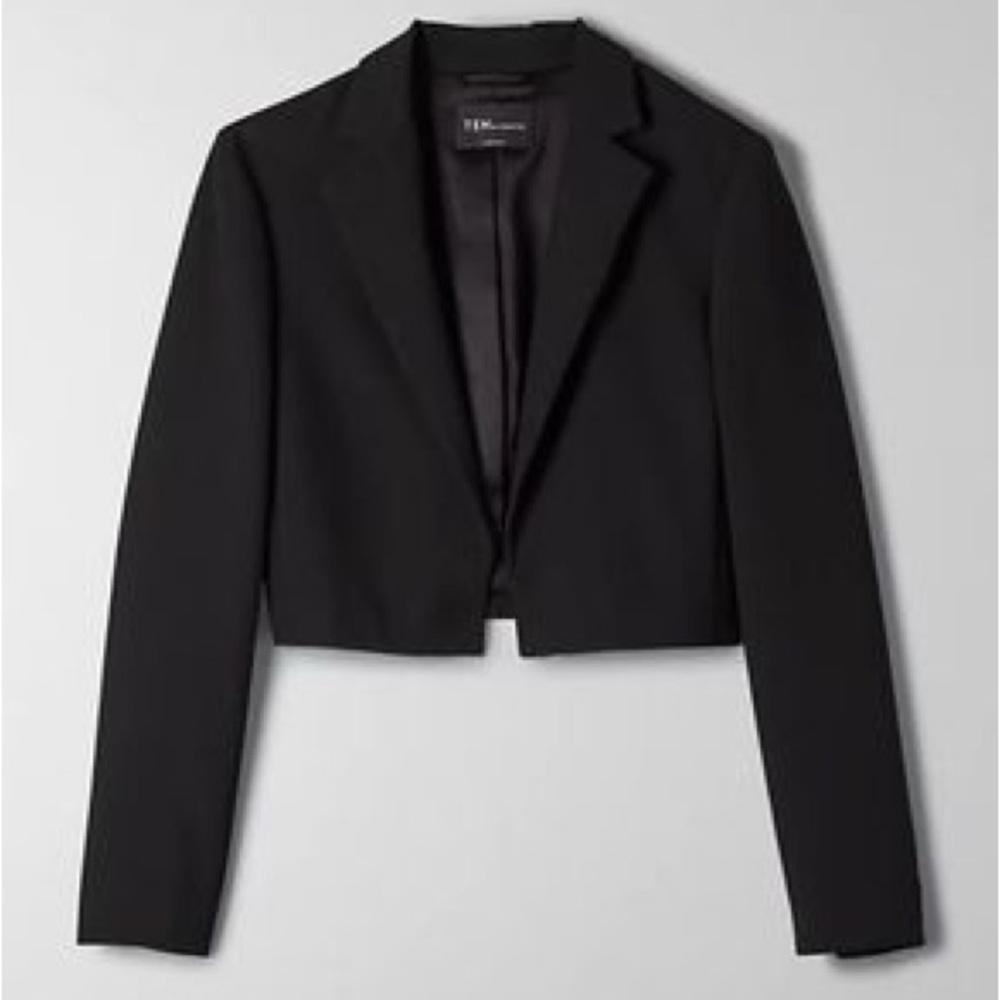 Aritzia Supernova blazer